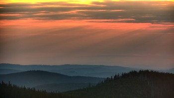 Snímek    13.5.2025 v 05:30
