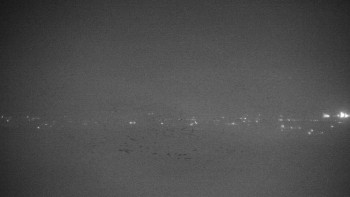 Snímek    15.5.2025 v 02:30