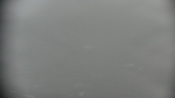Snímek    15.5.2025 v 08:00