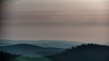 Snímek    15.6.2025 v 05:30