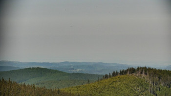 Snímek    15.6.2025 v 16:00