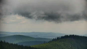 Snímek    17.6.2025 v 10:00
