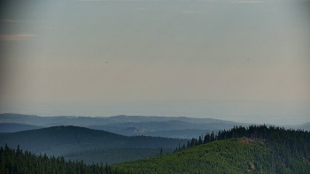Snímek    3.7.2025 v 09:30