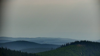 Snímek    6.7.2025 v 09:00