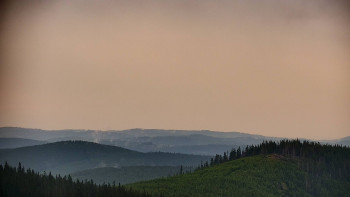 Snímek    7.7.2025 v 06:30