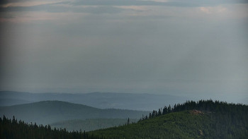 Snímek    13.7.2025 v 08:00