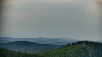 Snímek    13.7.2025 v 19:30