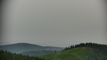 Snímek    17.7.2025 v 20:00