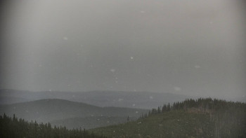 Snímek    14.10.2025 v 14:00