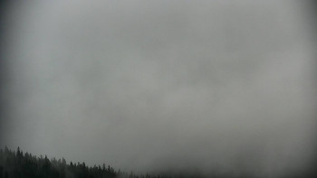 Snímek    15.10.2025 v 09:00