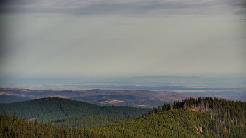 Snímek 14.11.2025 v 11:30