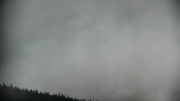 Snímek    17.11.2025 v 09:00