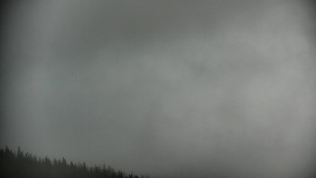 Snímek 17.11.2025 v 09:30