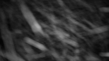 Snímek 17.11.2025 v 22:00