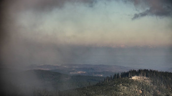 Snímek 19.11.2025 v 12:30