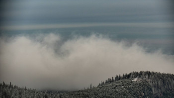 Snímek    21.11.2025 v 07:30