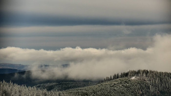 Snímek 21.11.2025 v 10:30