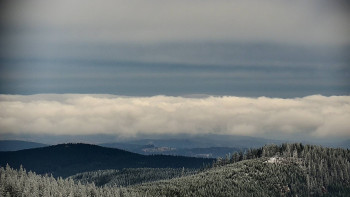 Snímek    21.11.2025 v 11:30