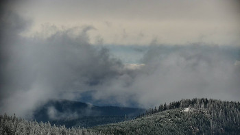 Snímek    21.11.2025 v 14:00