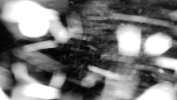 Snímek 23.11.2025 v 04:30