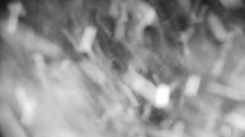 Horský hotel Volareza - Praděd