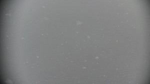 Horský hotel Volareza - Praděd - Panorama do údolí - 3.1.2026 v 12:30 Horský hotel Volareza - Praděd - Panorama do údolí - 3.1.2026 v 12:30