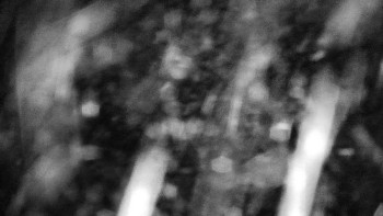 Horský hotel Volareza - Praděd