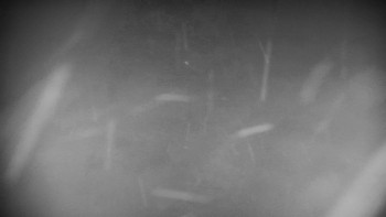 Horský hotel Volareza - Praděd