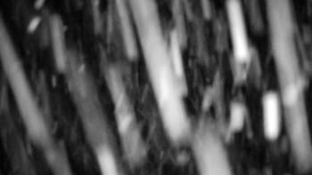 Horský hotel Volareza - Praděd