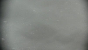 Horský hotel Volareza - Praděd - Panorama do údolí - 31.3.2026 v 08:30