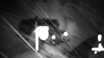 Snímek    13.7.2025 v 03:30