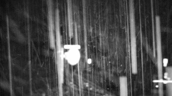 Snímek    14.9.2025 v 06:00