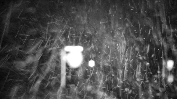 Snímek    15.10.2025 v 02:30