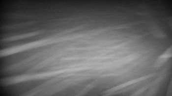 Snímek    26.10.2025 v 21:00