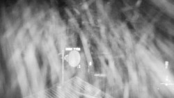 Horská služba - Ovčárna - Praděd