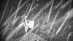 Horská služba - Ovčárna - Praděd