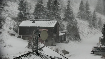 Snímek    24.11.2025 v 10:00