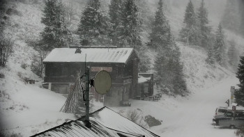 Snímek    24.11.2025 v 11:00