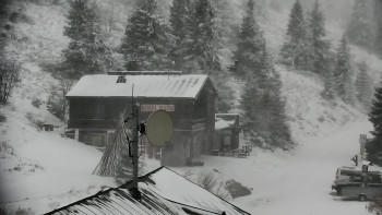 Snímek    24.11.2025 v 11:30