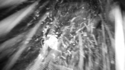 Horská služba - Ovčárna - Praděd