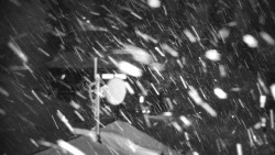 Horská služba - Ovčárna - Praděd