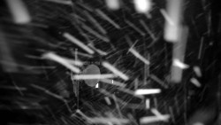 Horská služba - Ovčárna - Praděd