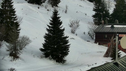 Horská služba - Ovčárna - Praděd