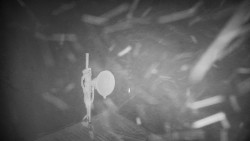 Horská služba - Ovčárna - Praděd