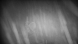 Horská služba - Ovčárna - Praděd