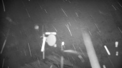 Horská služba - Ovčárna - Praděd