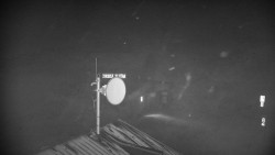 Horská služba - Ovčárna - Praděd