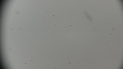 Horská služba - Ovčárna - Praděd