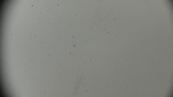 Horská služba - Ovčárna - Praděd