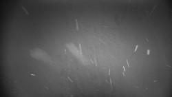 Horská služba - Ovčárna - Praděd